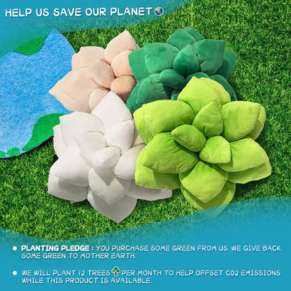 Succulent & Cactus Plush Pillows, Plant Shaped Decor