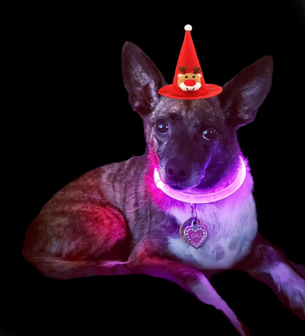 Illuminate Your Pet's Style: USB Rechargeable LED Dog & Cat Collar - Perfect for Christmas Gifts & Festive Fun!