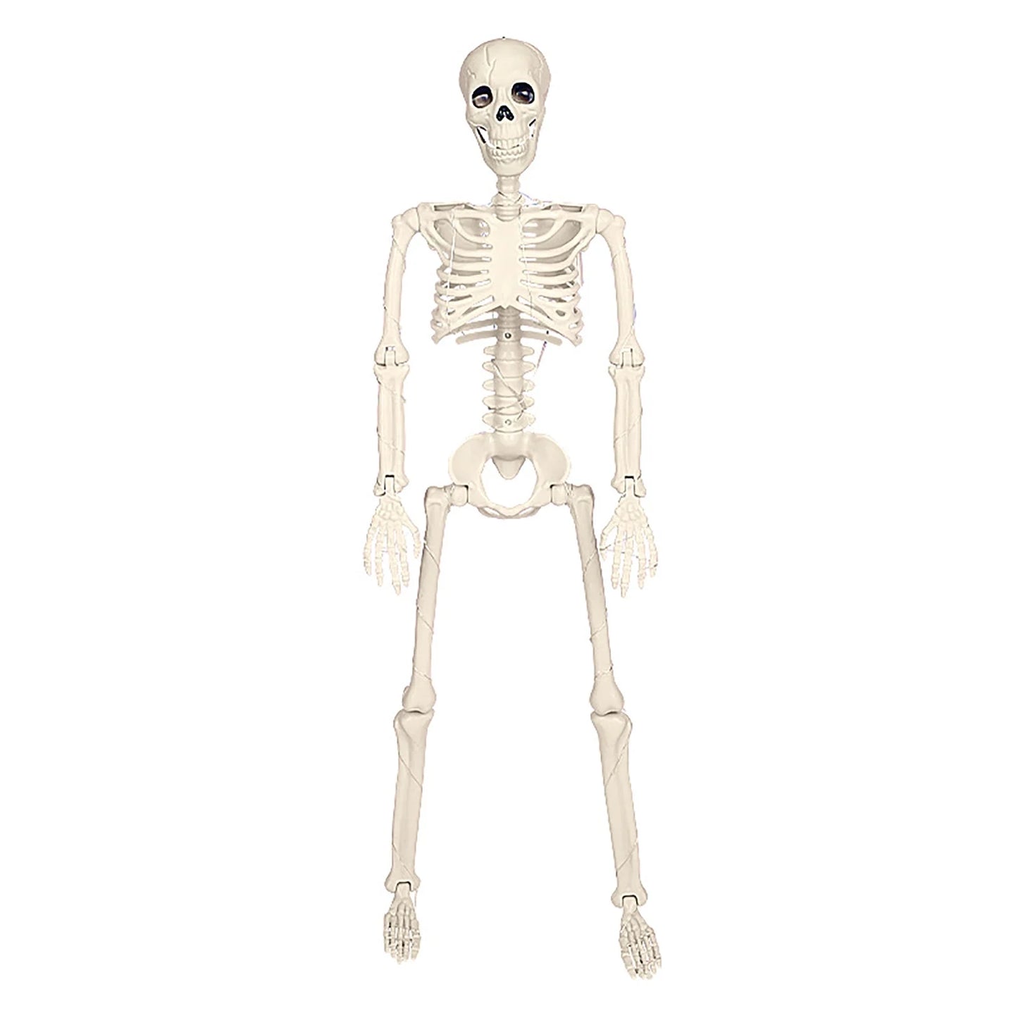 Halloween Skeleton LED Light up Pose Stay Halloween Skeleton Full Body Posable Movable Jonints for Halloween Decoration