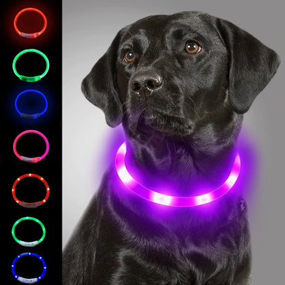 Illuminate Your Pet's Style: USB Rechargeable LED Dog & Cat Collar - Perfect for Christmas Gifts & Festive Fun!
