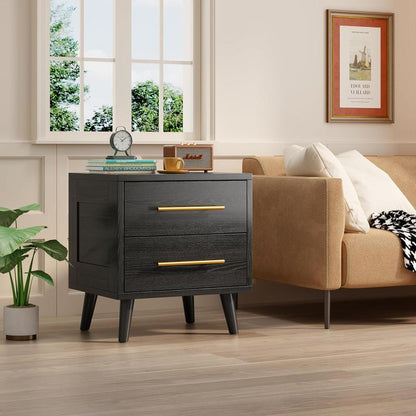 Gizoon Nightstand, Bedside Table with Metal Handles, Modern Wood Night Stand 2 Drawer Dresser for Bedroom, Black Furniture