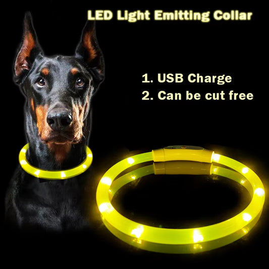 Illuminate Your Pet's Style: USB Rechargeable LED Dog & Cat Collar - Perfect for Christmas Gifts & Festive Fun!